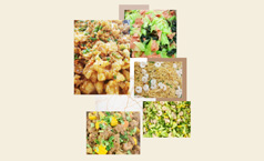 餐飲公司營養(yǎng)搭配菜品<div   id="jpandex"   class="focus-wrap mb20 cf">，保證健康飲食